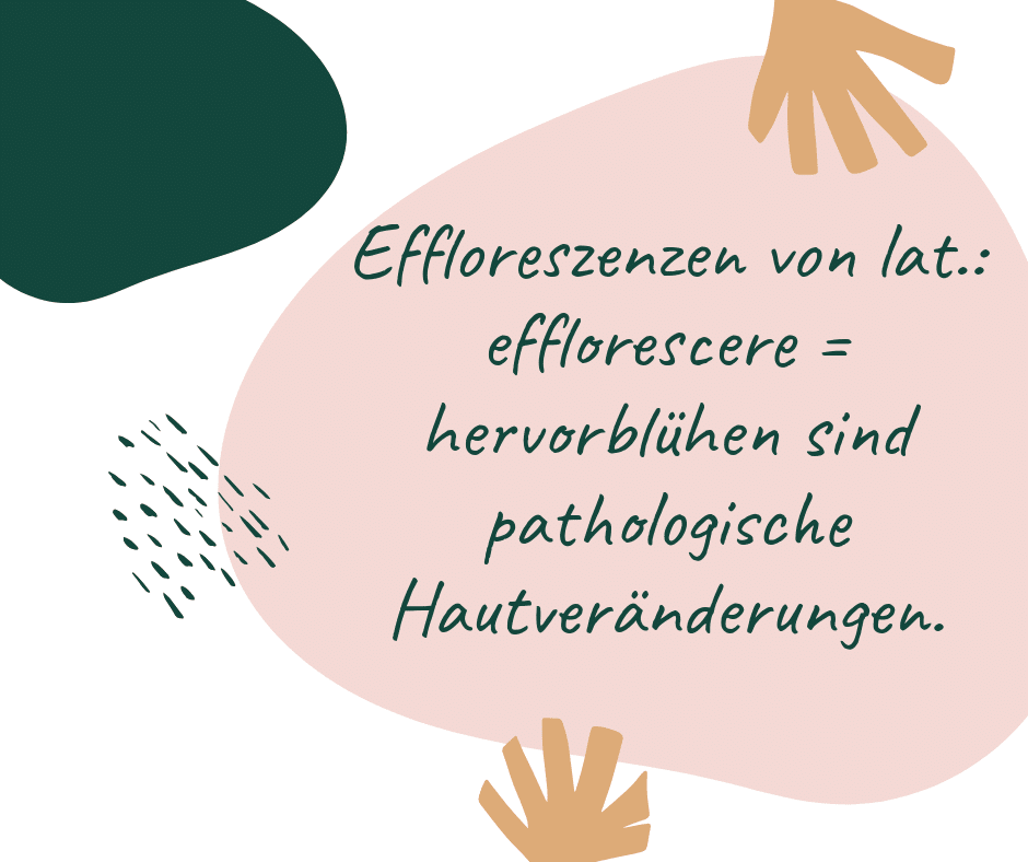 Effloreszenzen Krankhafte Hautveränderungen just me & beauty