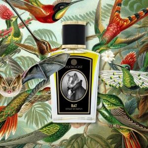 © ZOOLOGIST Perfumes BAT - ein tropisch-schwüler Fledermausduft mit erdigen und stechend animalischen Akkorden