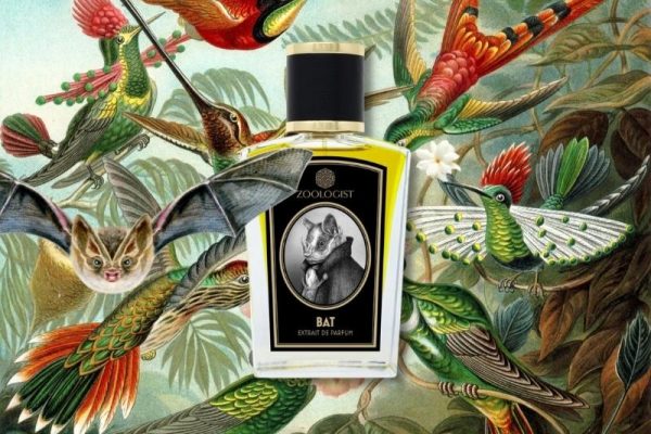 © ZOOLOGIST Perfumes BAT - ein tropisch-schwüler Fledermausduft mit erdigen und stechend animalischen Akkorden